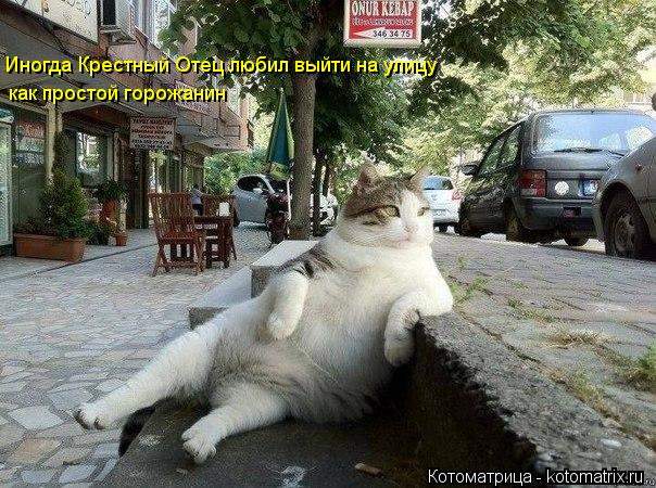 Иногда Крестный Отец любил выйти на улицу как простой горожанин... Котоматрица: Иногда Крестный Отец любил выйти на улицу как простой горожанин