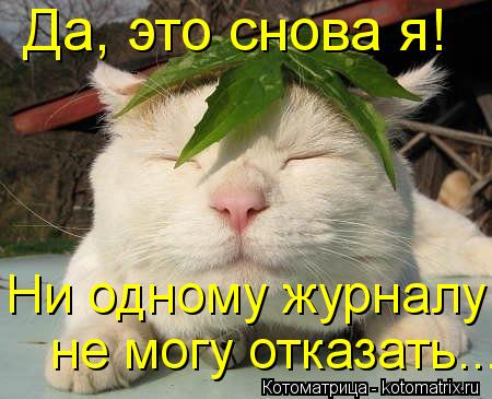 Котоматрица: Да, это снова я! Ни одному журналу  не могу отказать...