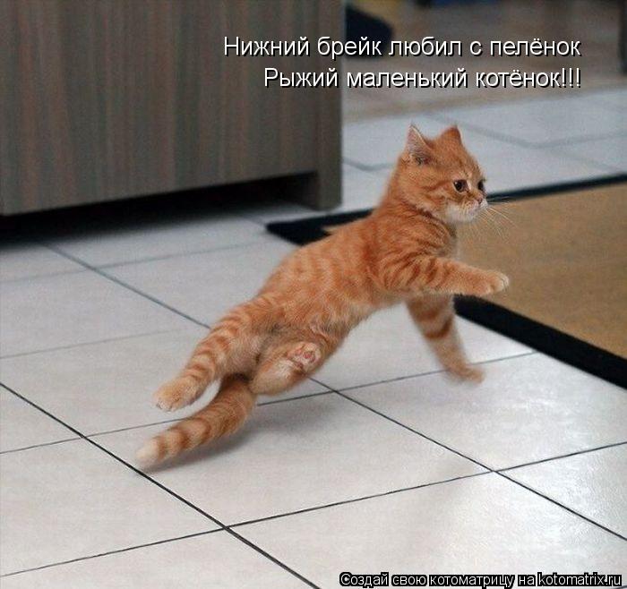 Нижний брейк любил с пелёнок Рыжий маленький котёнок!!!... Котоматрица: Нижний брейк любил с пелёнок Рыжий маленький котёнок!!!