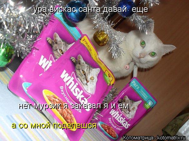 Котоматрица: ура вискас санта давай  еще а со мной поделешся нет мурзик я заказал я и ем