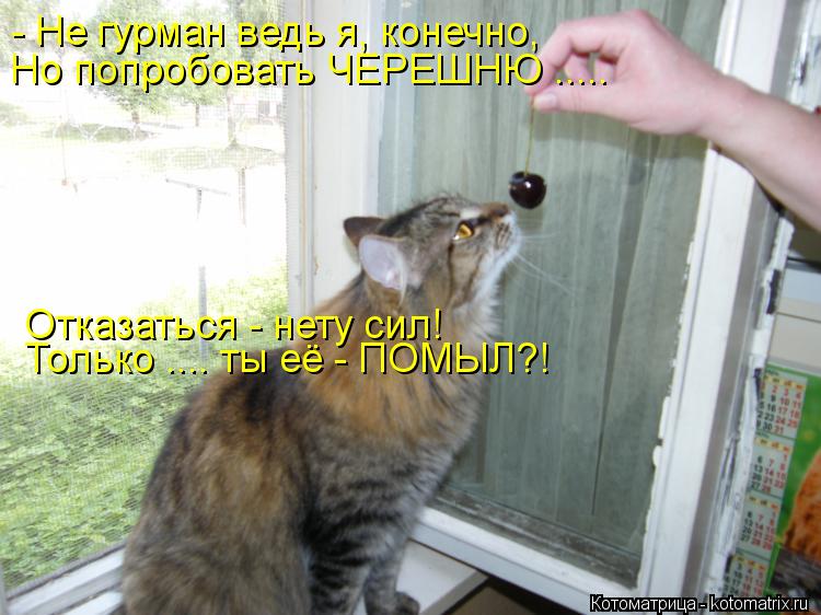 - Не гурман ведь я, конечно, Но попробовать ЧЕРЕШНЮ ..... Отказаться - нету сил! Только .... ты её - ... Котоматрица: - Не гурман ведь я, конечно, Но попробовать ЧЕРЕШНЮ ..... Отказаться - нету сил! Только .... ты её - ПОМЫЛ?!