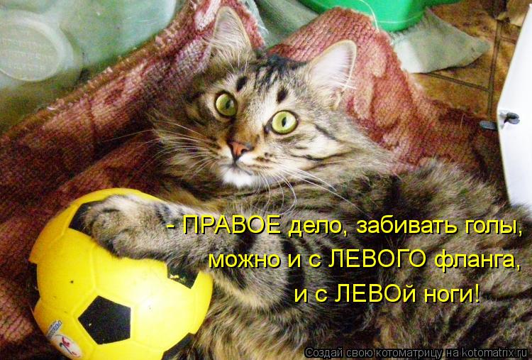 Котоматрица: - ПРАВОЕ дело, забивать голы, можно и с ЛЕВОГО фланга, и с ЛЕВОй ноги!