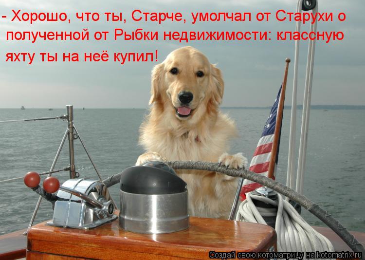 Котоматрица: - Хорошо, что ты, Старче, умолчал от Старухи о полученной от Рыбки недвижимости: классную яхту ты на неё купил!