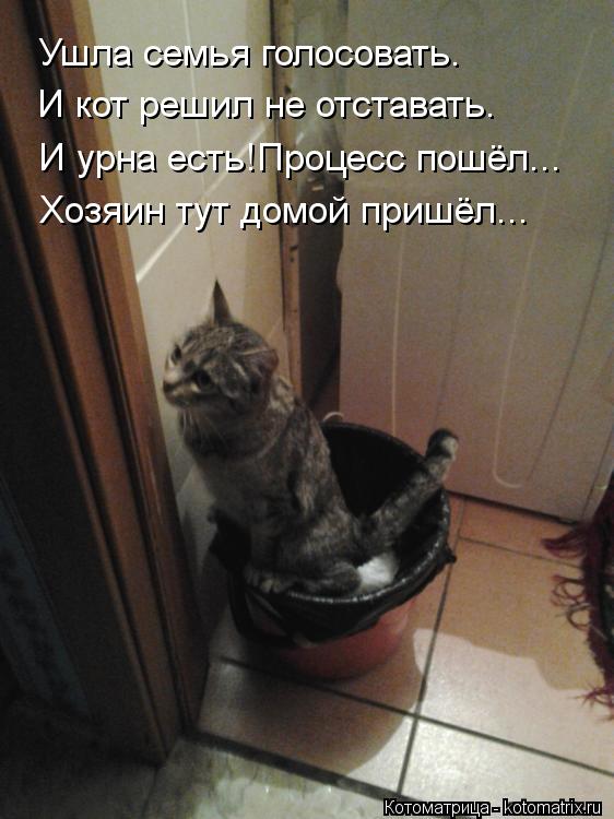 Ушла семья голосовать. И кот решил не отставать. И урна есть!Процесс пошёл... Хозяин тут домой пришёл... Котоматрица: Ушла семья голосовать. И кот решил не отставать. И урна есть!Процесс пошёл... Хозяин тут домой пришёл...
