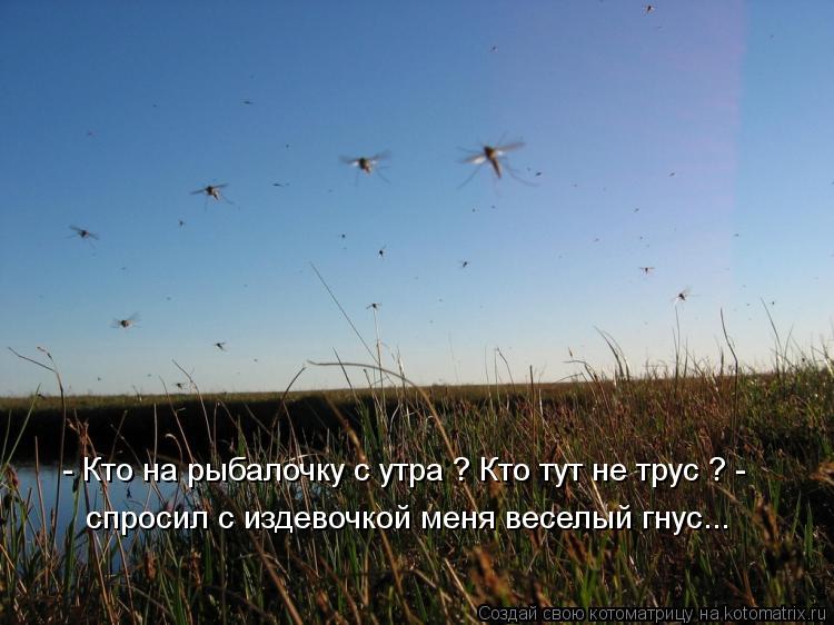 - Кто на рыбалочку с утра ? Кто тут не трус ? - спросил с издевочкой меня веселый гнус...... Котоматрица: - Кто на рыбалочку с утра ? Кто тут не трус ? - спросил с издевочкой меня веселый гнус...