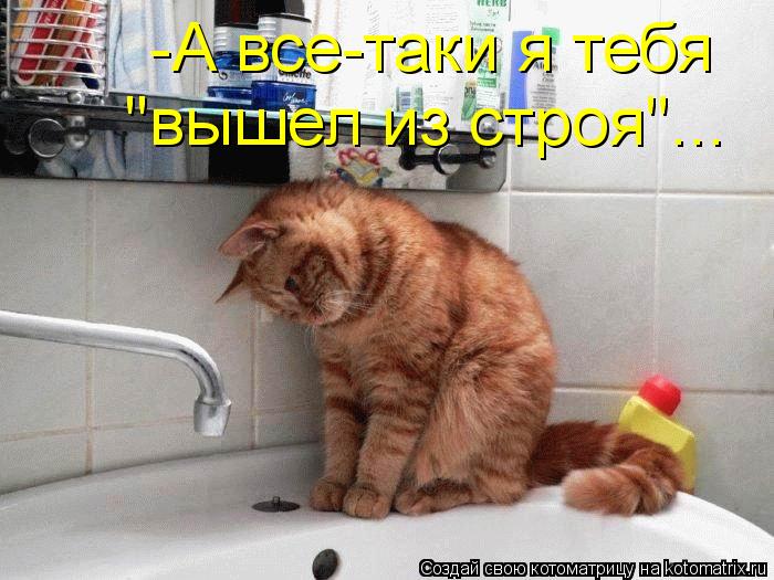 -А все-таки я тебя "вышел из строя"...... Котоматрица: -А все-таки я тебя "вышел из строя"...