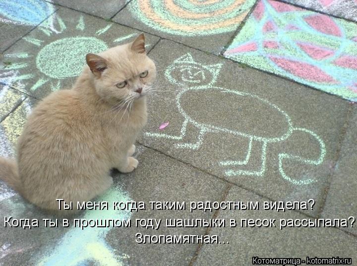 Ты меня когда таким радостным видела? Когда ты в прошлом году шашлыки в песок рассыпала? Злопамятная.... Котоматрица: Ты меня когда таким радостным видела? Когда ты в прошлом году шашлыки в песок рассыпала? Злопамятная...