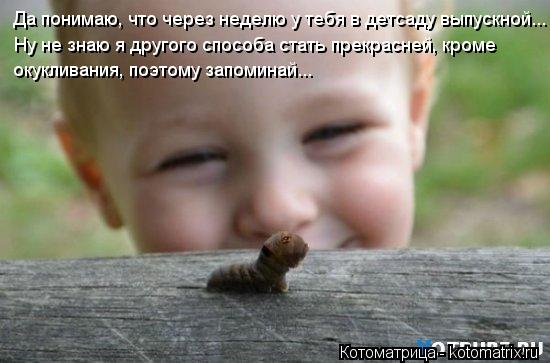 Котоматрица: Да понимаю, что через неделю у тебя в детсаду выпускной... Ну не знаю я другого способа стать прекрасней, кроме  окукливания, поэтому запомин