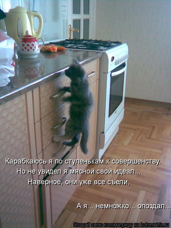 Котоматрица: Карабкаюсь я по ступенькам к совершенству. Но не увидел я мясной свой идеал... А я... немножко... опоздал... Наверное, они уже все съели,
