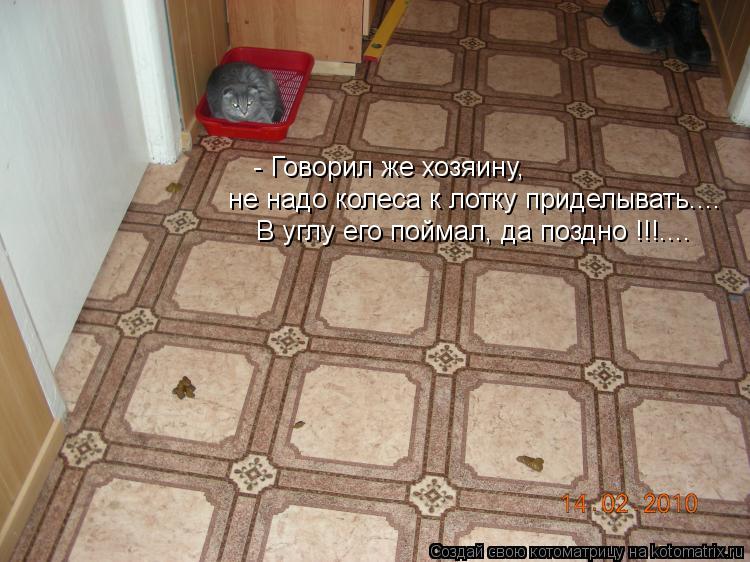 Котоматрица: - Говорил же хозяину, не надо колеса к лотку приделывать.... В углу его поймал, да поздно !!!....