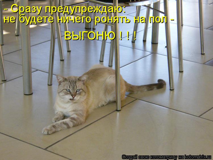 - Сразу предупреждаю: не будете ничего ронять на пол - ВЫГОНЮ ! ! !... Котоматрица: - Сразу предупреждаю: не будете ничего ронять на пол - ВЫГОНЮ ! ! !