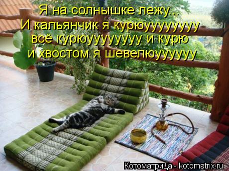 Котоматрица: Я на солнышке лежу... И кальянчик я курюуууууууу всё курюуууууууу и курю и хвостом я шевелюуууууу
