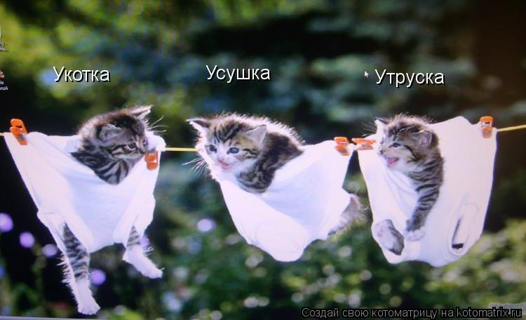 Котоматрица: Укотка           Усушка    Утруска