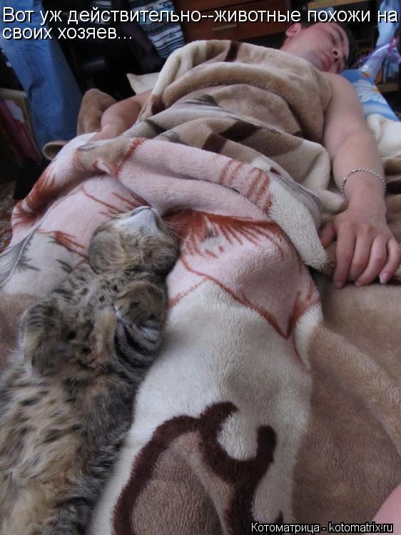 Котоматрица: Вот уж действительно--животные похожи на своих хозяев...