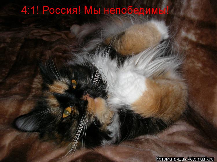 Котоматрица: 4:1! Россия! Мы непобедимы!