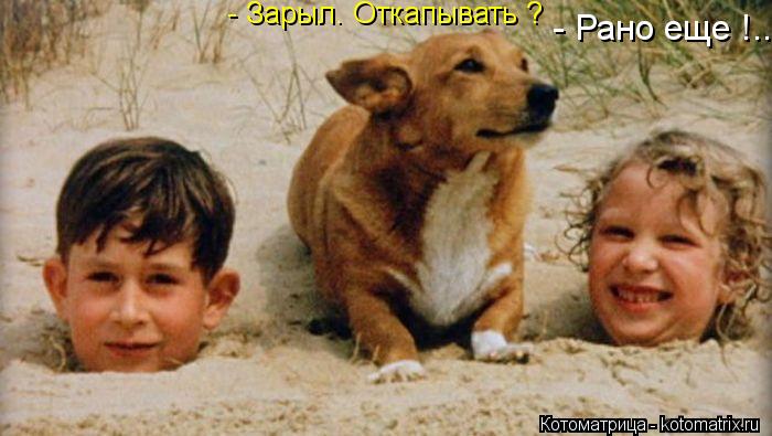 - Зарыл. Откапывать ? - Рано еще !..... Котоматрица: - Зарыл. Откапывать ? - Рано еще !..