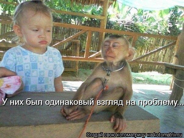 Котоматрица: У них был одинаковый взгляд на проблему...
