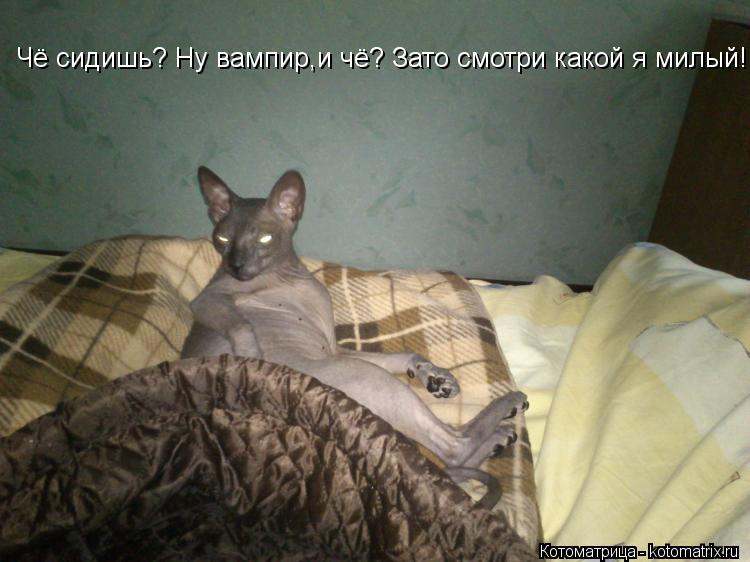 Чё сидишь? Ну вампир,и чё? Зато смотри какой я милый!... Котоматрица: Чё сидишь? Ну вампир,и чё? Зато смотри какой я милый!
