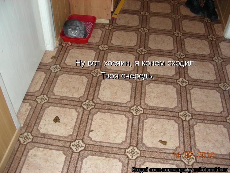 Ну вот, хозяин, я конем сходил. Твоя очередь.... Котоматрица: Ну вот, хозяин, я конем сходил. Твоя очередь.