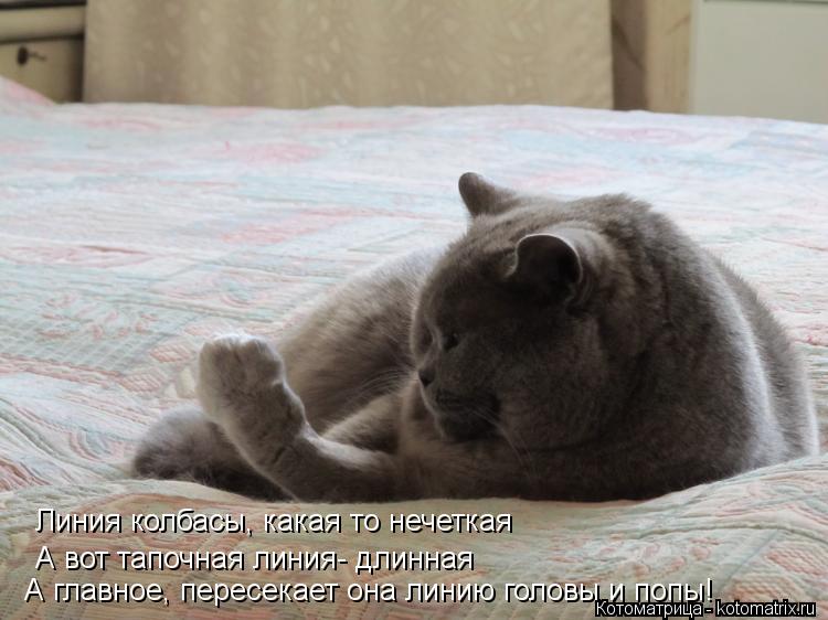 Линия колбасы, какая то нечеткая А вот тапочная линия- длинная А главное, пересекает она линию головы... Котоматрица: Линия колбасы, какая то нечеткая А вот тапочная линия- длинная А главное, пересекает она линию головы и попы!