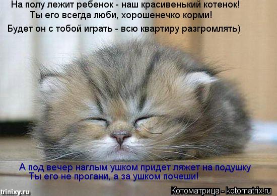 На полу лежит ребенок - наш красивенький котенок! Будет он с тобой играть - всю квартиру разгромлять... Котоматрица: На полу лежит ребенок - наш красивенький котенок! Будет он с тобой играть - всю квартиру разгромлять) Ты его всегда люби, хорошенечко корми!
