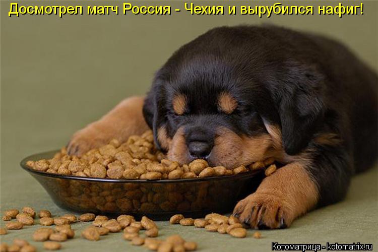 Котоматрица: Досмотрел матч Россия - Чехия и вырубился нафиг!
