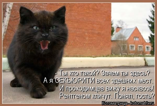 Котоматрица: - Ты кто такой? Зачем ты здесь? А я СЕКЬЮРИТИ всех здешних мест. И проходимцев вижу я насквозь! Рентгеном кличут. Понял, гость?