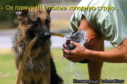 Котоматрица: - Ох горячо !!! Отожми холодную струю ...