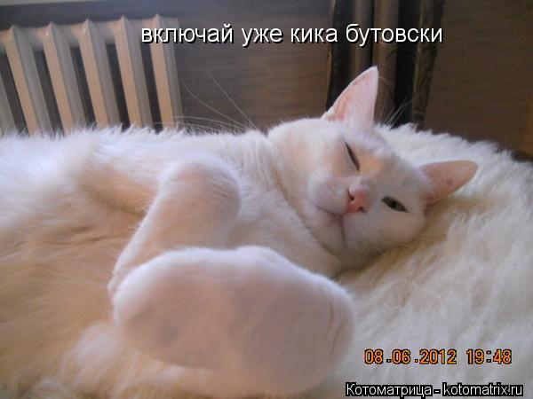 включай уже кика бутовски... Котоматрица: включай уже кика бутовски
