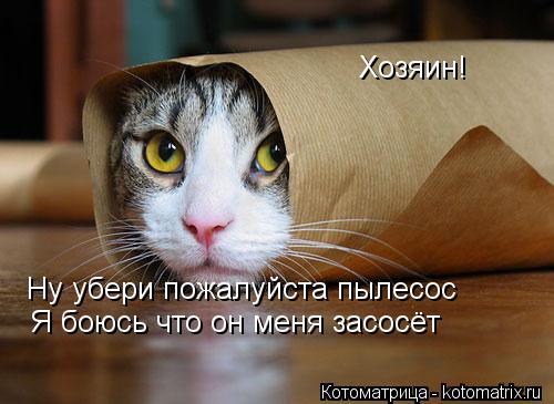Котоматрица: Хозяин! Ну убери пожалуйста пылесос Я боюсь что он меня засосёт