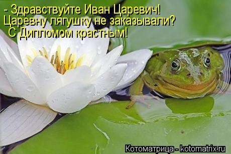 Котоматрица: - Здравствуйте Иван Царевич!  Царевну лягушку не заказывали? С Дипломом крастным!