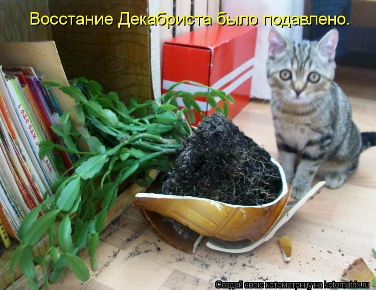 Восстание Декабриста было подавлено.... Котоматрица: Восстание Декабриста было подавлено.