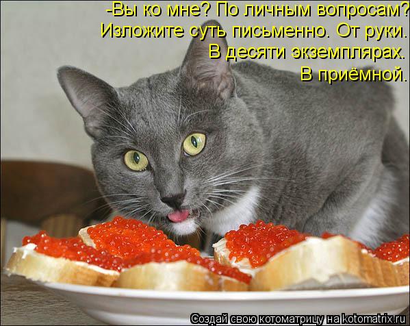 -Вы ко мне? По личным вопросам? Изложите суть письменно. От руки. В десяти экземплярах. В десяти экз... Котоматрица: -Вы ко мне? По личным вопросам? Изложите суть письменно. От руки. В десяти экземплярах. В десяти экземплярах. В приёмной.