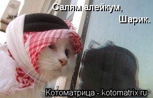 Салям алейкум, Шарик.... Котоматрица: Салям алейкум, Шарик.