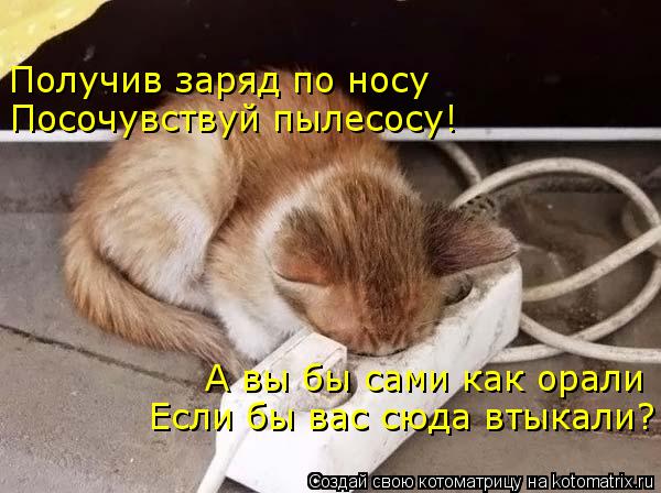 Получив заряд по носу Посочувствуй пылесосу! А вы бы сами как орали Если бы вас сюда втыкали?... Котоматрица: Получив заряд по носу Посочувствуй пылесосу! А вы бы сами как орали Если бы вас сюда втыкали?