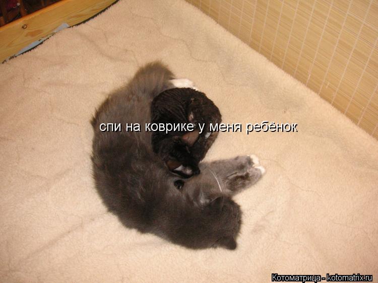Котоматрица: спи на коврике у меня ребёнок