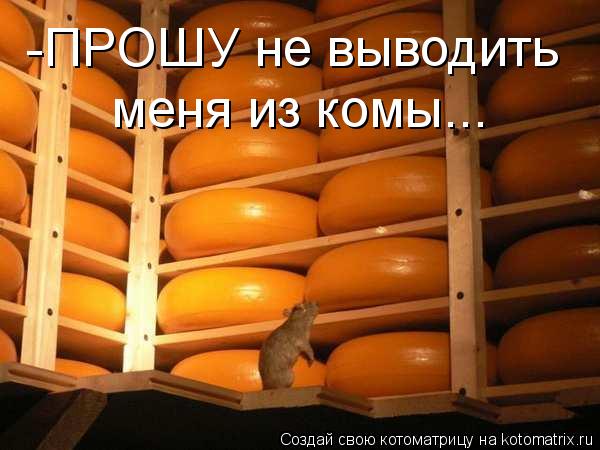 -ПРОШУ не выводить меня из комы...... Котоматрица: -ПРОШУ не выводить меня из комы...