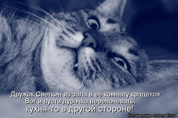 Дружок Светкин из зала в её комнату крадётся Вот и пусти дурачка переночевать, кухня-то в другой сто... Котоматрица: Дружок Светкин из зала в её комнату крадётся Вот и пусти дурачка переночевать, кухня-то в другой стороне!