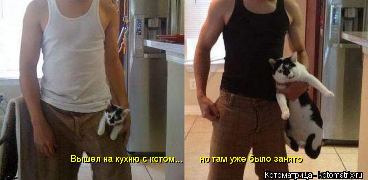 Котоматрица: Вышел на кухню с котом...       но там уже было занято