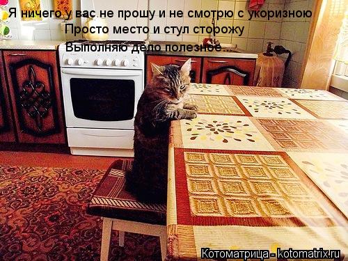 Котоматрица: Я ничего у вас не прошу и не смотрю с укоризною Просто место и стул сторожу Выполняю дело полезное...