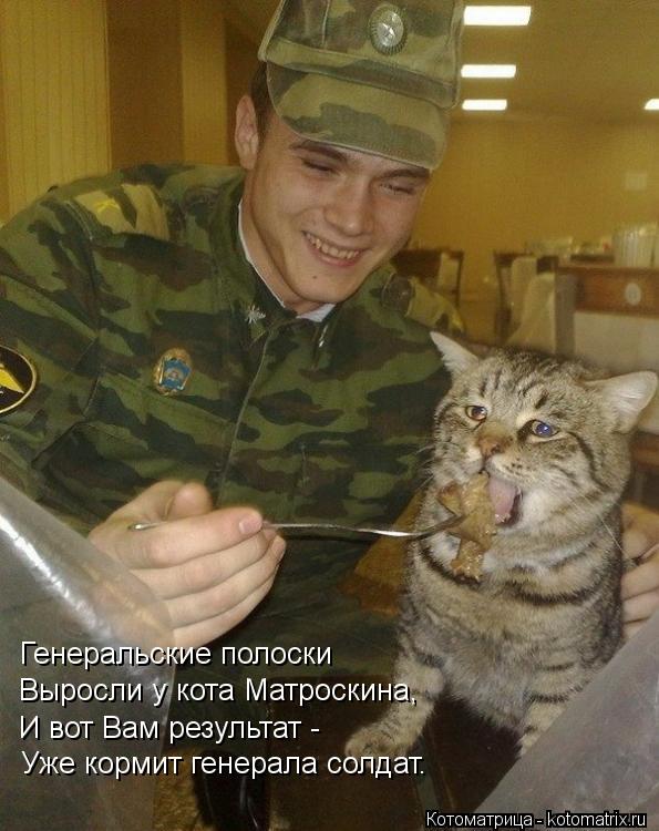 Котоматрица: Генеральские полоски Выросли у кота Матроскина, И вот Вам результат - Уже кормит генерала солдат.