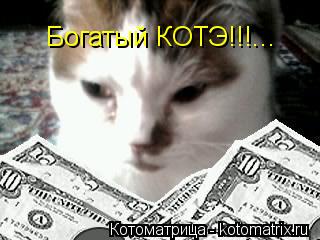Котоматрица: Богатый КОТЭ!!!...