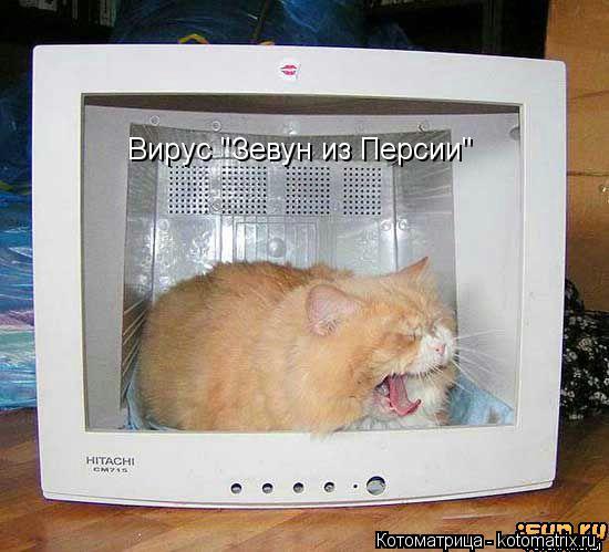 Котоматрица: Вирус "Зевун из Персии"