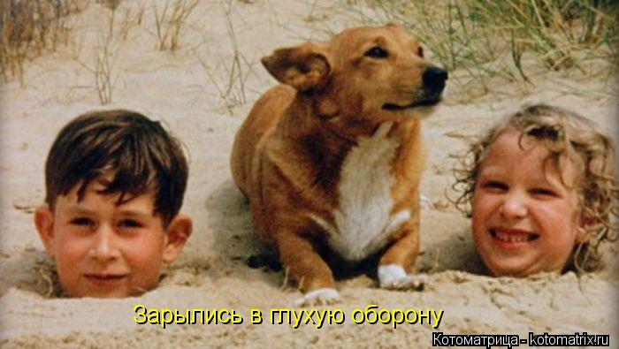 Котоматрица: Зарылись в глухую оборону