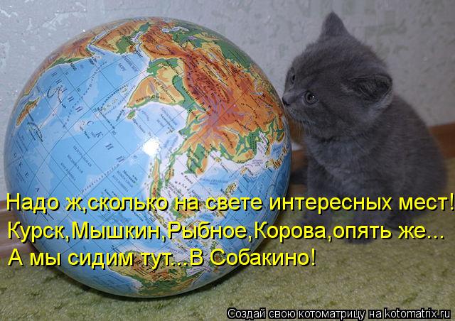 Надо ж,сколько на свете интересных мест! Курск,Мышкин,Рыбное,Корова,опять же... А мы сидим тут...В Со... Котоматрица: Надо ж,сколько на свете интересных мест! Курск,Мышкин,Рыбное,Корова,опять же... А мы сидим тут...В Собакино!