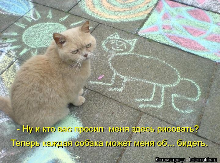 Теперь каждая собака может меня об... бидеть. - Ну и кто вас просил меня здесь рисовать?... Котоматрица: Теперь каждая собака может меня об... бидеть. - Ну и кто вас просил меня здесь рисовать?