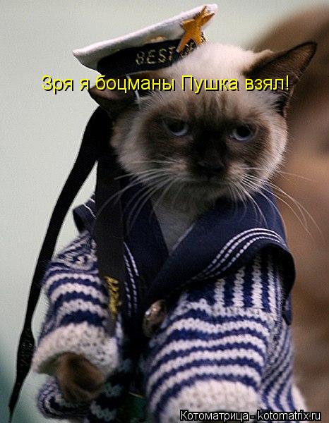 Котоматрица: Зря я боцманы Пушка взял!