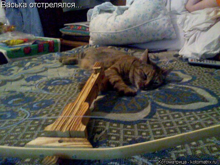 Котоматрица: Васька отстрелялся...
