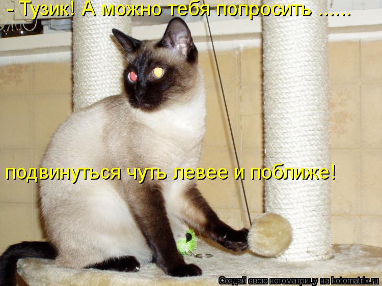 - Тузик! А можно тебя попросить ...... подвинуться чуть левее и поближе!... Котоматрица: - Тузик! А можно тебя попросить ...... подвинуться чуть левее и поближе!