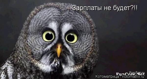 Котоматрица: Зарплаты не будет?!!